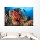 Diver Approaches Colorful Soft Wall Decal Design 2