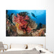 Diver Approaches Colorful Soft Wall Decal Design 2