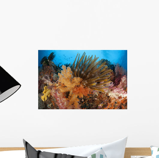 Colorful Crinoids and Soft Wall Decal Design 4