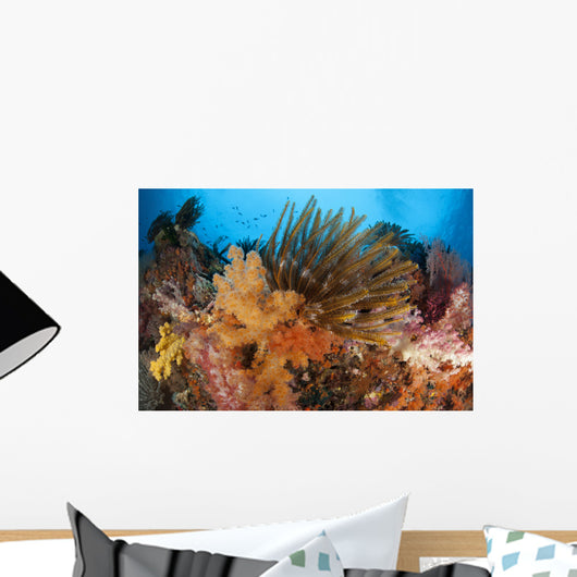 Colorful Crinoids and Soft Wall Decal Design 4