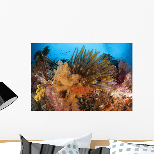 Colorful Crinoids and Soft Wall Decal Design 4
