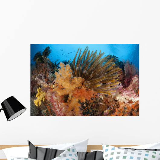 Colorful Crinoids and Soft Wall Decal Design 4