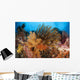Colorful Crinoids and Soft Wall Decal Design 4
