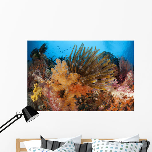 Colorful Crinoids and Soft Wall Decal Design 4
