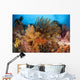 Colorful Crinoids and Soft Wall Decal Design 4