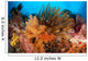 Colorful Crinoids and Soft Wall Decal Design 4