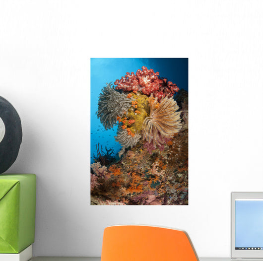 Colorful Crinoids and Soft Wall Decal Design 3