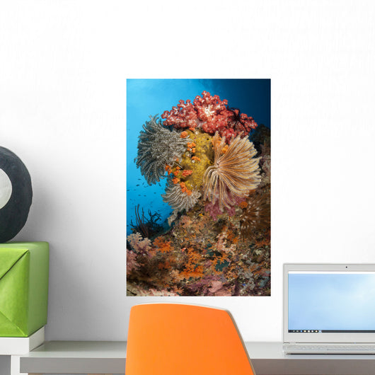 Colorful Crinoids and Soft Wall Decal Design 3