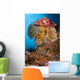 Colorful Crinoids and Soft Wall Decal Design 3
