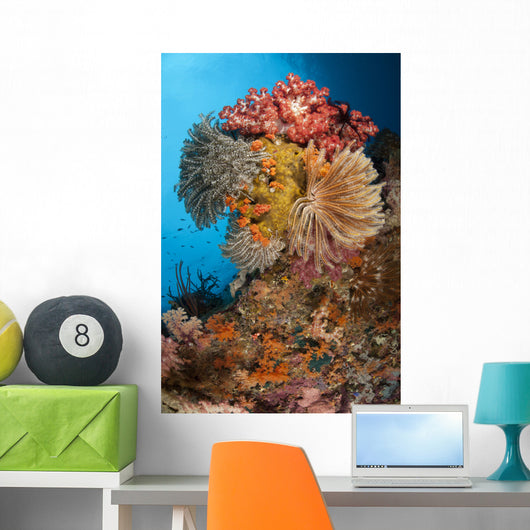 Colorful Crinoids and Soft Wall Decal Design 3