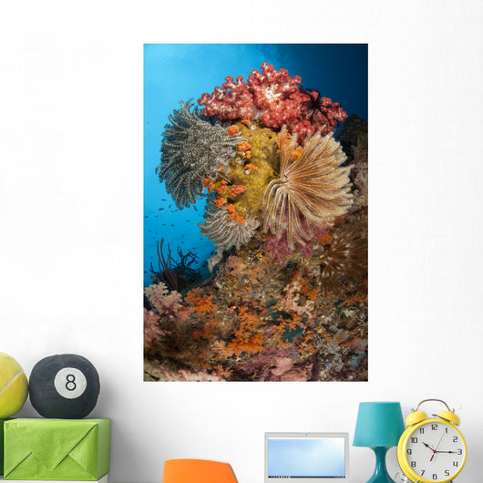 Colorful Crinoids and Soft Wall Decal Design 3