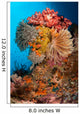 Colorful Crinoids and Soft Wall Decal Design 3