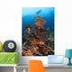 Colorful Crinoids and Soft Wall Decal Design 1