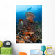 Colorful Crinoids and Soft Wall Decal Design 1