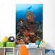 Colorful Crinoids and Soft Wall Decal Design 1