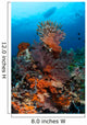 Colorful Crinoids and Soft Wall Decal Design 1
