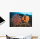 Reefscape Raja Ampat Covered Wall Decal Design 1