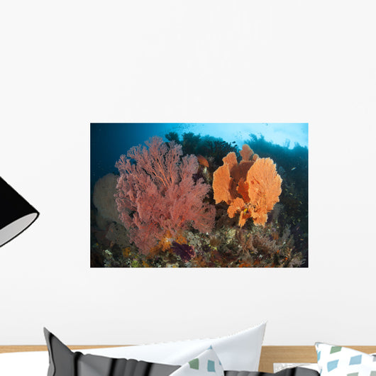 Reefscape Raja Ampat Covered Wall Decal Design 1