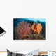 Reefscape Raja Ampat Covered Wall Decal Design 1