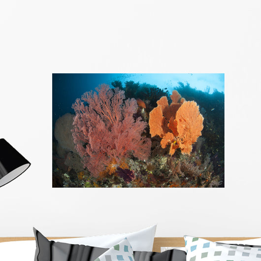 Reefscape Raja Ampat Covered Wall Decal Design 1