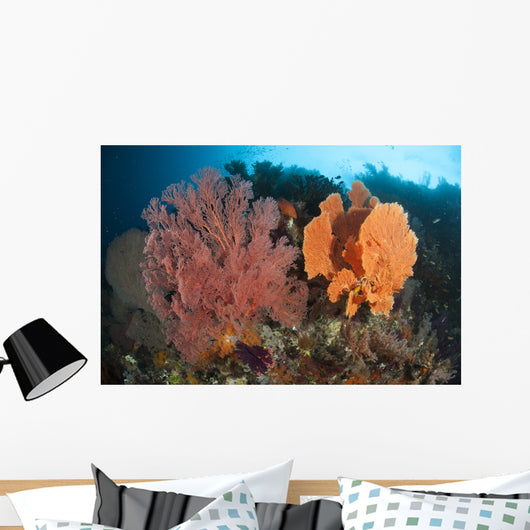Reefscape Raja Ampat Covered Wall Decal Design 1