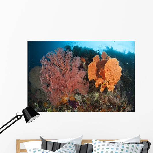 Reefscape Raja Ampat Covered Wall Decal Design 1