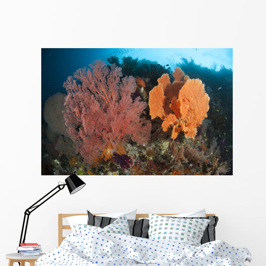Reefscape Raja Ampat Covered Wall Decal Design 1