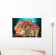 Dead Table Coral Now Wall Decal