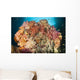 Dead Table Coral Now Wall Decal