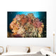 Dead Table Coral Now Wall Decal
