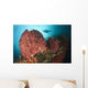Diver Approaching Giant Barrel Wall Decal Design 1