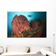 Diver Approaching Giant Barrel Wall Decal Design 1
