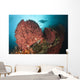 Diver Approaching Giant Barrel Wall Decal Design 1