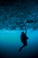 Diver Reaches up to Wall Decal