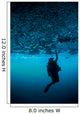 Diver Reaches up to Wall Decal