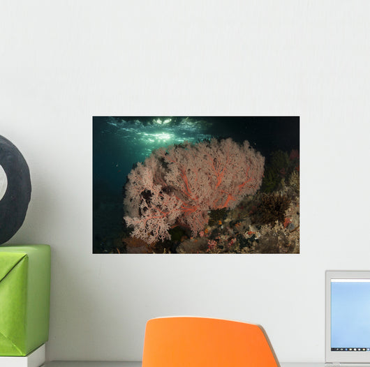 Gorgonian Sea Fans Reef Wall Decal Design 3