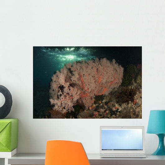 Gorgonian Sea Fans Reef Wall Decal Design 3
