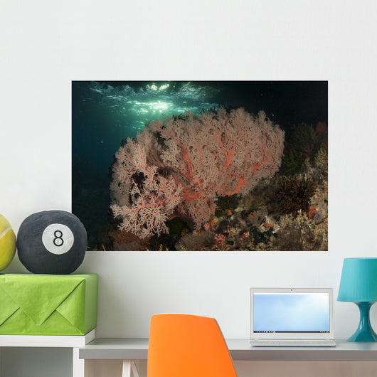 Gorgonian Sea Fans Reef Wall Decal Design 3