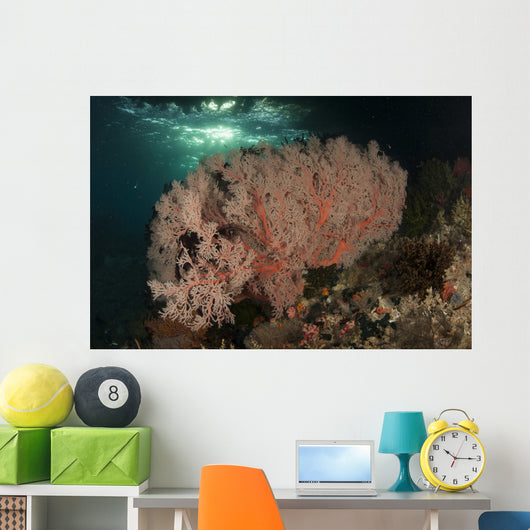 Gorgonian Sea Fans Reef Wall Decal Design 3