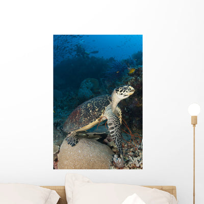 Hawksbill Sea Turtle Reef Wall Decal shown on a wall