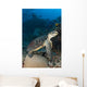 Hawksbill Sea Turtle Reef Wall Decal