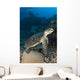 Hawksbill Sea Turtle Reef Wall Decal