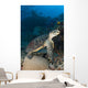 Hawksbill Sea Turtle Reef Wall Decal