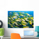 Schooling Brownstripe Snapper Raja Wall Decal Design 2