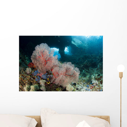 Gorgonian Sea Fan with Wall Decal
