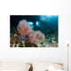 Gorgonian Sea Fan with Wall Decal
