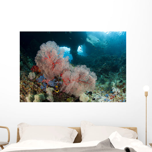 Gorgonian Sea Fan with Wall Decal