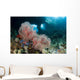 Gorgonian Sea Fan with Wall Decal