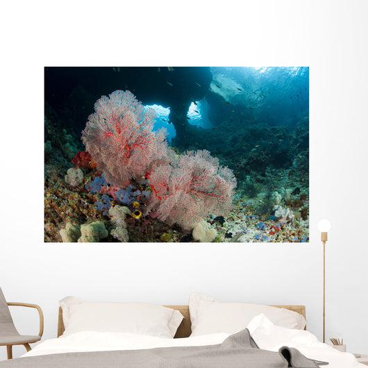 Gorgonian Sea Fan with Wall Decal