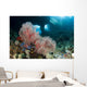 Gorgonian Sea Fan with Wall Decal